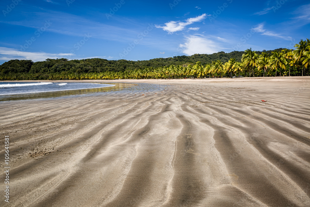 Palm trees on the Carrillo beach