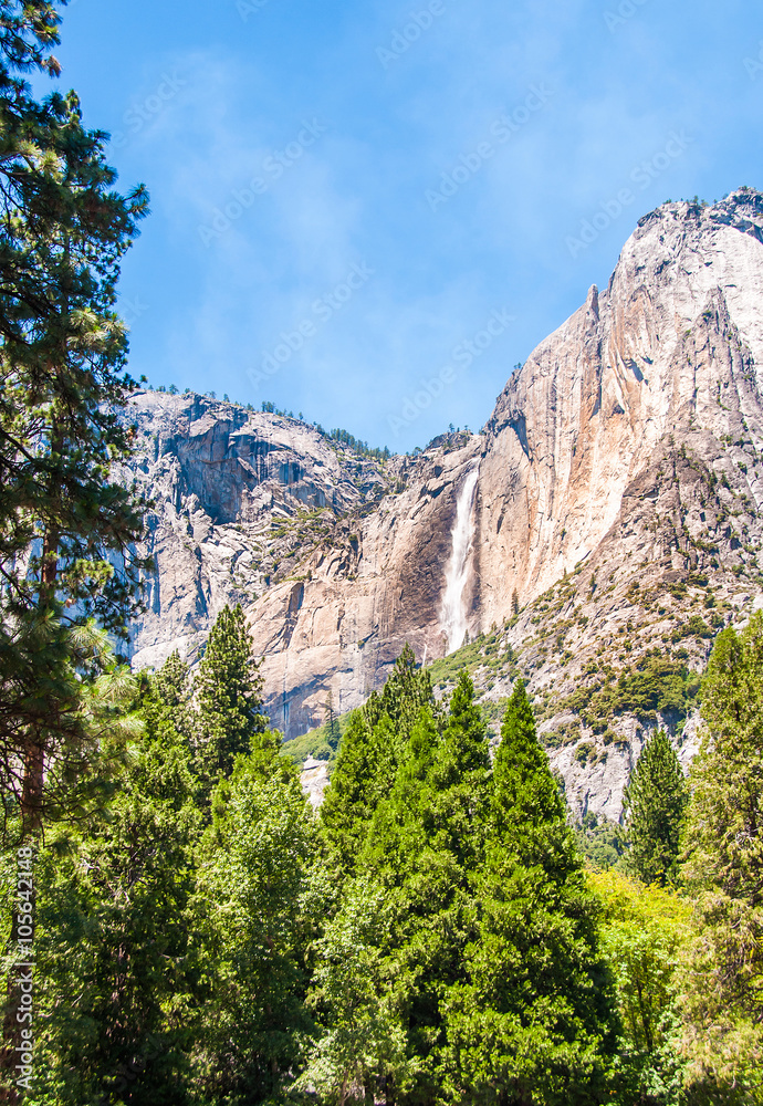 Fototapeta premium Yosemite national park - California - USA 
