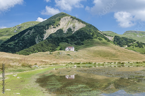 Lago alpino photo