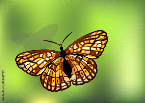 Checkerspot on green