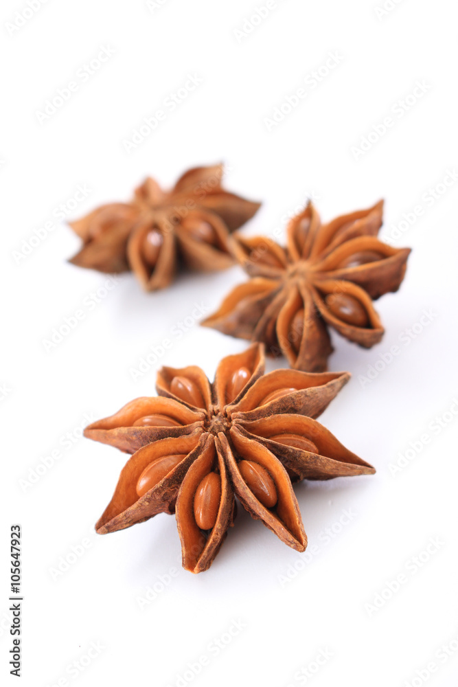 star anise spice star anise spice