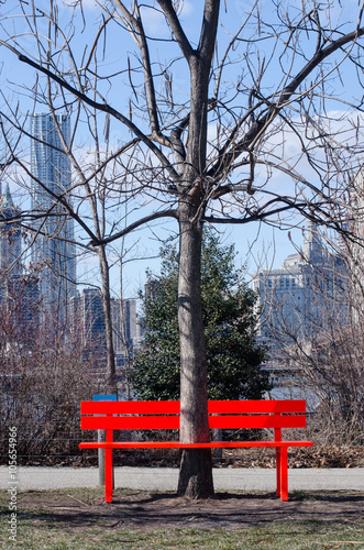 Tree Through Bench