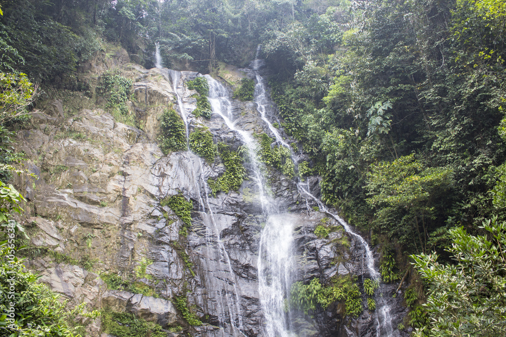 Fototapeta premium cascada caida de agua piedra