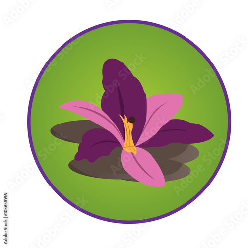 Spa icon