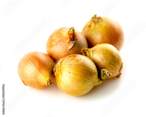 Five onions of various sized studio isolated