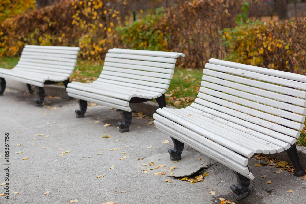 Green garden bench with green grass in autumn Green garden bench with green grass in autumn