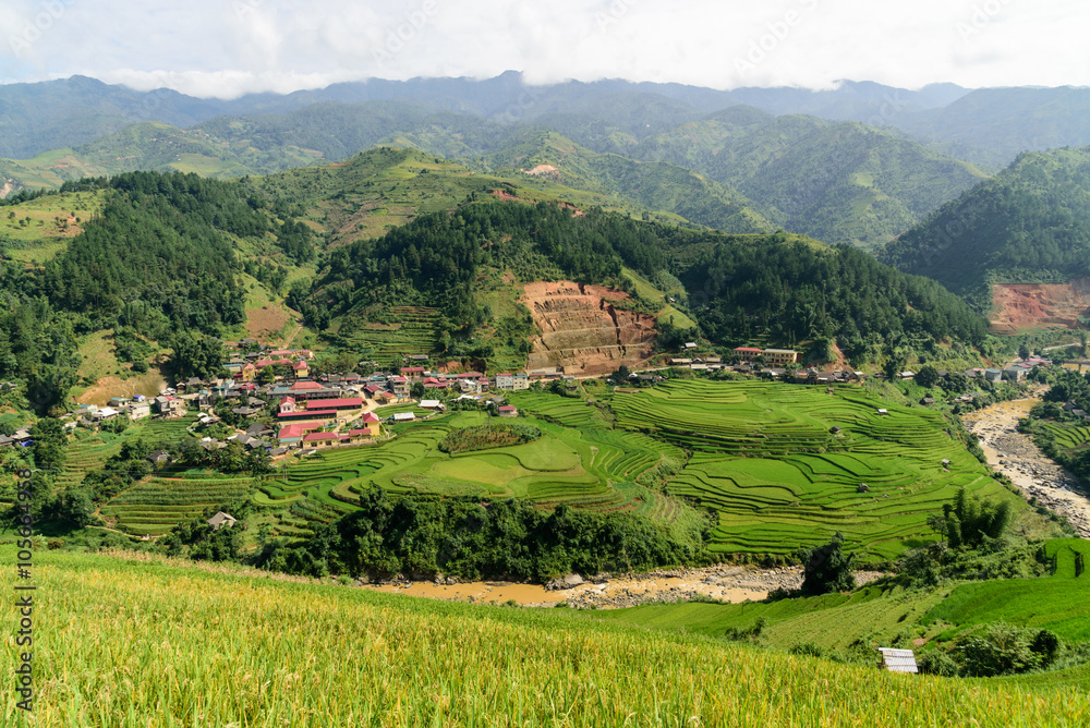 city arounded by rice terrace