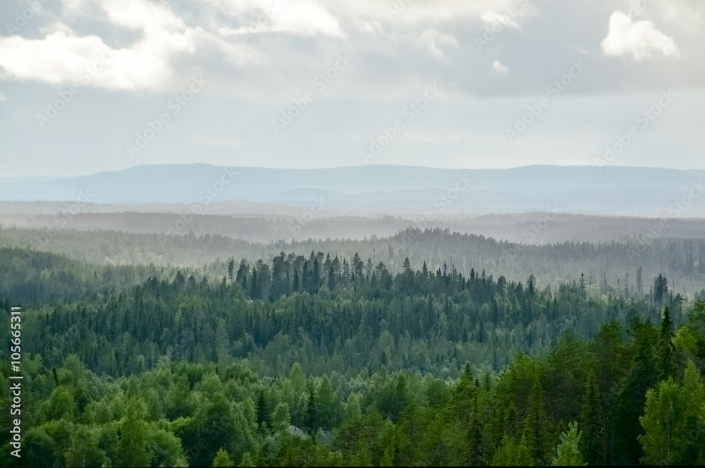 Naklejka premium Mountain landscape in Lapland Finland