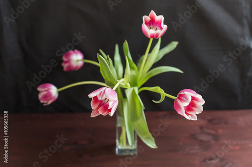 Fototapeta Naklejka Na Ścianę i Meble -  pink tulips in vase on wooden background
