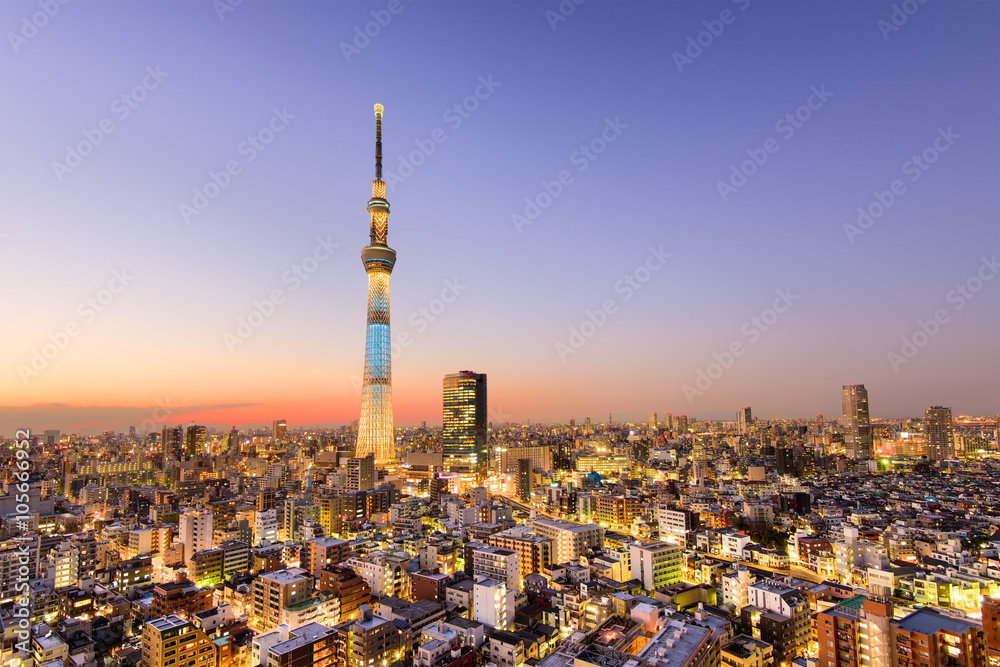 Fototapeta premium Panoramę Tokio