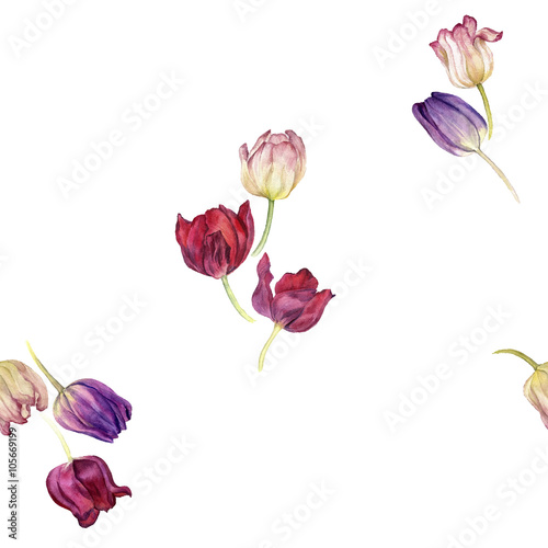 seamless pattern with watercolor tulip #105669199