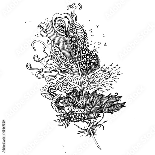 Feather on a white background. Vintage Artistically hand drawn s