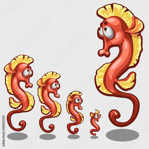 Funny red sea horse, five icons of different sizes