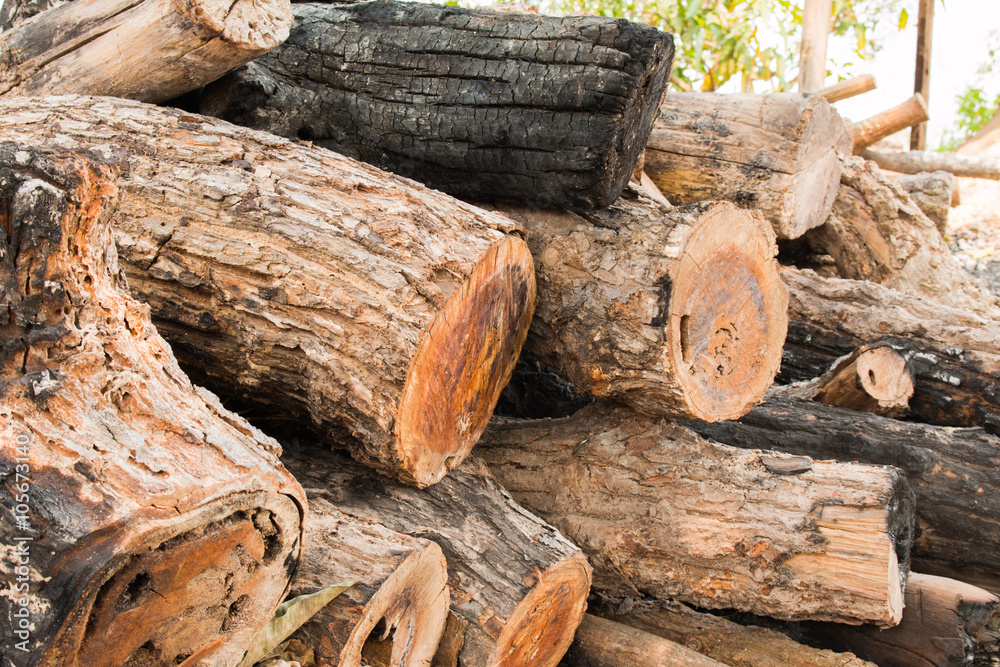 Background of pile of wood Background of pile of wood