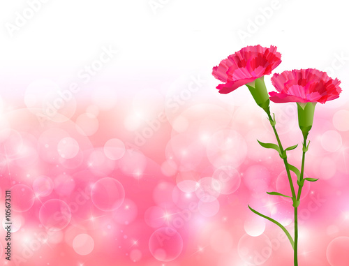母の日　カーネーション　花　背景