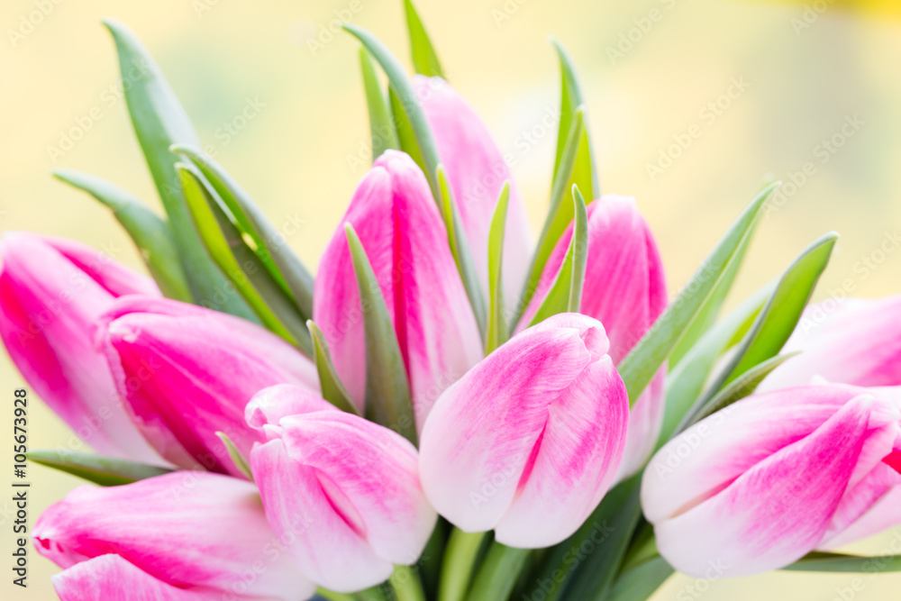 Spring flowers. Tulip bouquet on the bokeh background. Spring flowers. Tulip bouquet on the bokeh background.
