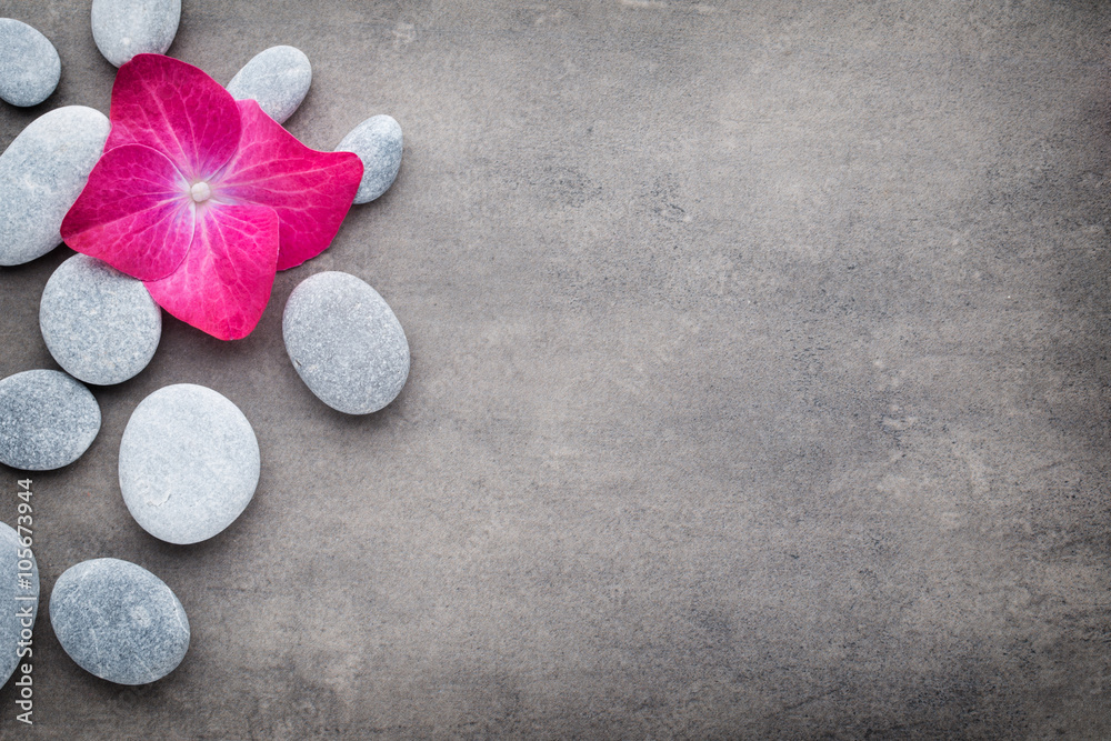 Spa stones and flowers, on grey background.