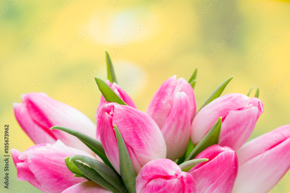 Spring flowers. Tulip bouquet on the bokeh background. Spring flowers. Tulip bouquet on the bokeh background.