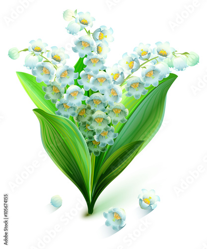 Flower lily valley. Bouquet lily of valley
