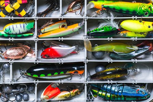 Various fisherman's equipment on wooden background