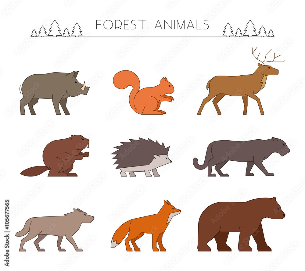 Outline forest animals. Line forest animals.