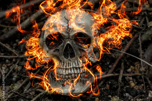 human skull on fire