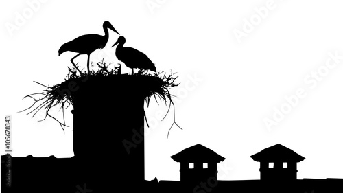stork nest 