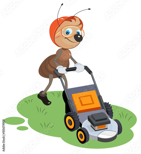 Ant gardener mows lawn. Gardener and lawn mower