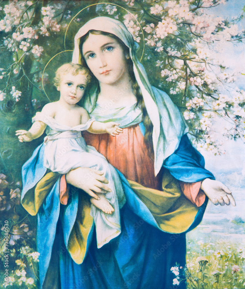 Madonna with the child in the flowers. 