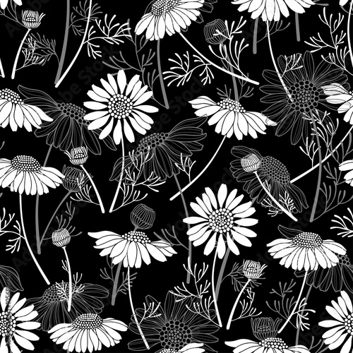 Fototapeta Naklejka Na Ścianę i Meble -  Seamless vector pattern with chamomiles on black background. 