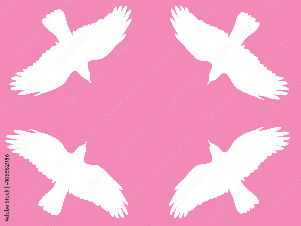  bird sign flying background