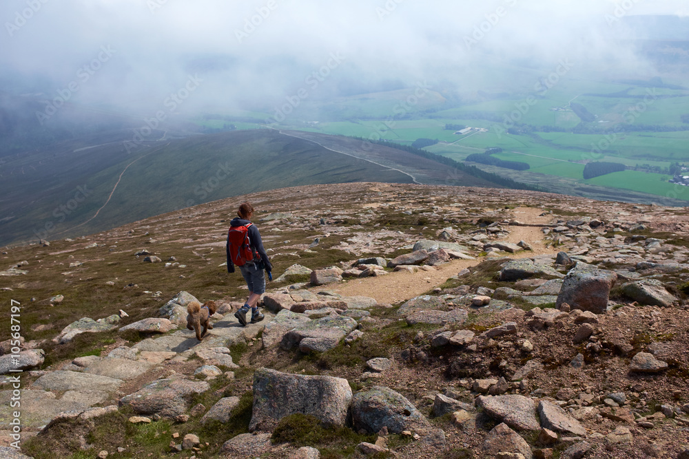 Fototapeta premium Ben Rinnes