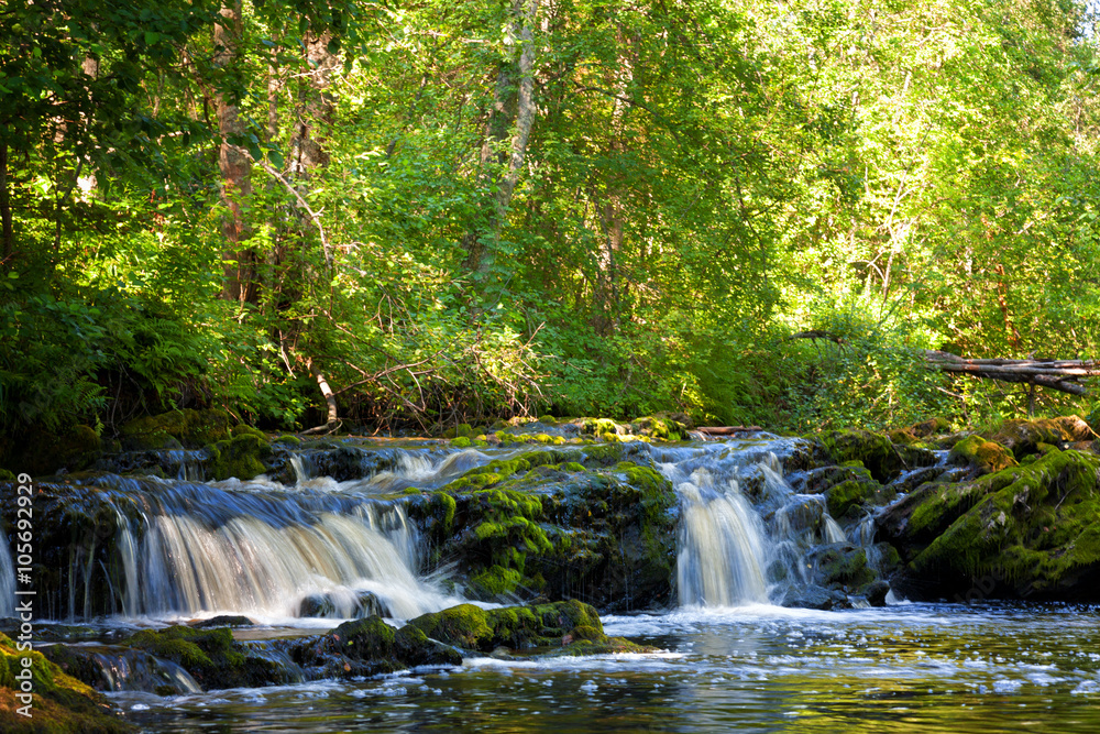 Beautiful landscape with wood and a falls. Beautiful landscape with wood and a falls.