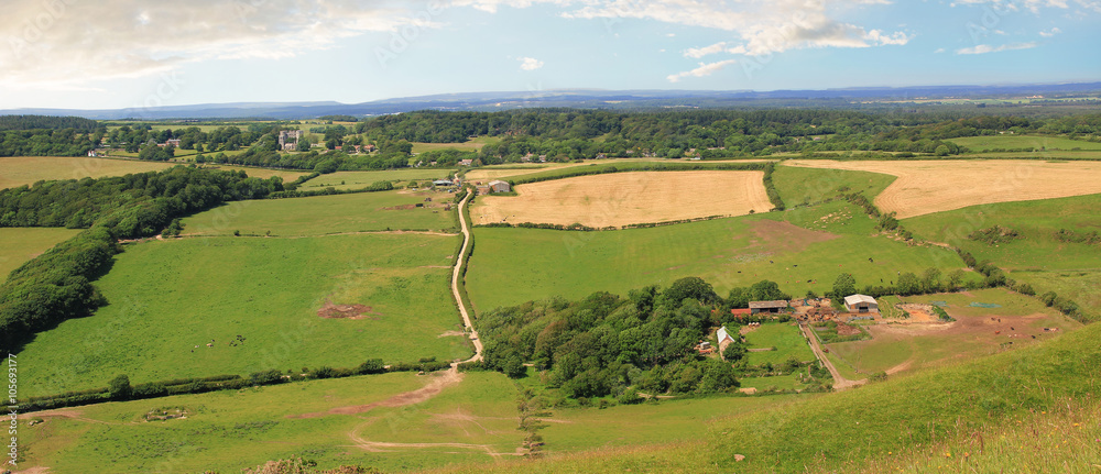 Fototapeta premium Hügelige Landschaft und grüne Felder, Dorset