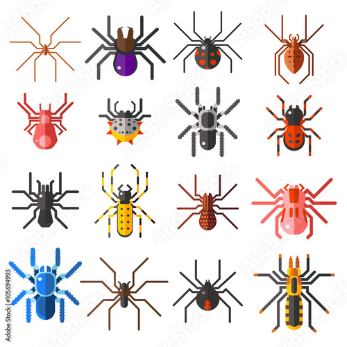 Set of flat spiders cartoon colored icons vector illustration isolated on white background. 