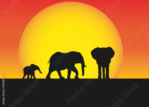 landscape in africa with elephants family © robcartorres