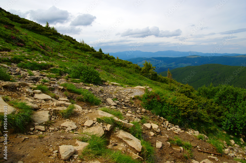 Fototapeta premium Mountain landscape in summer