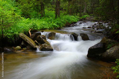 Mountain river in forest.