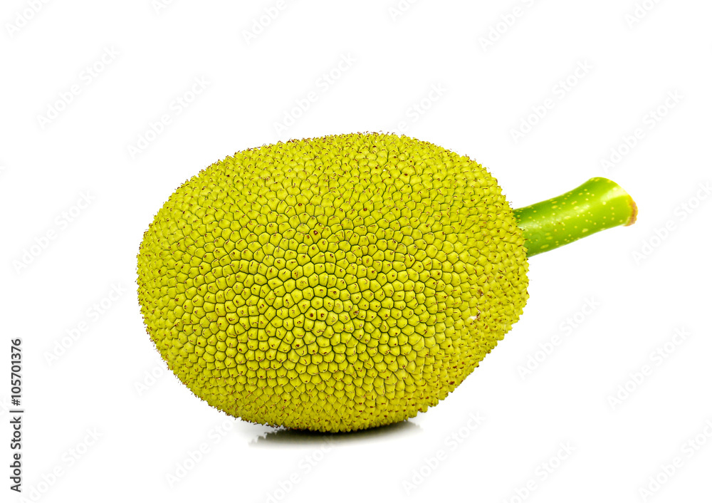 Young Jackfruit on white background. Young Jackfruit on white background.