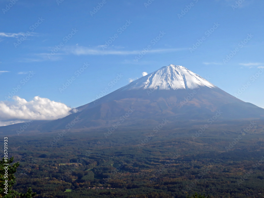 紅葉台から望む富士山と樹海