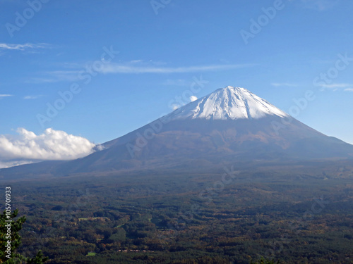 紅葉台から望む富士山と樹海 © buttchi3
