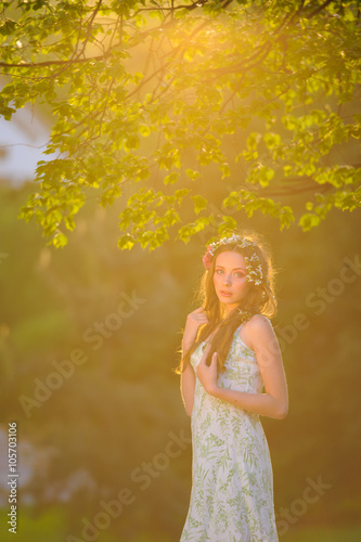 Young elegant lady in dress, the sunset.