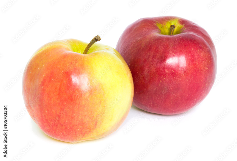 Two apples on a white background Two apples on a white background