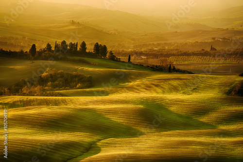 Wavy fields in Tuscany at sunrise  Italy. Natural outdoor seasonal spring background.