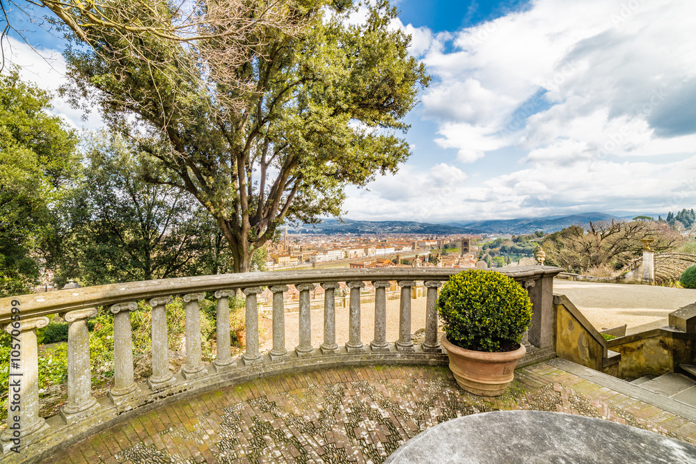 the roofs of Florence from the park