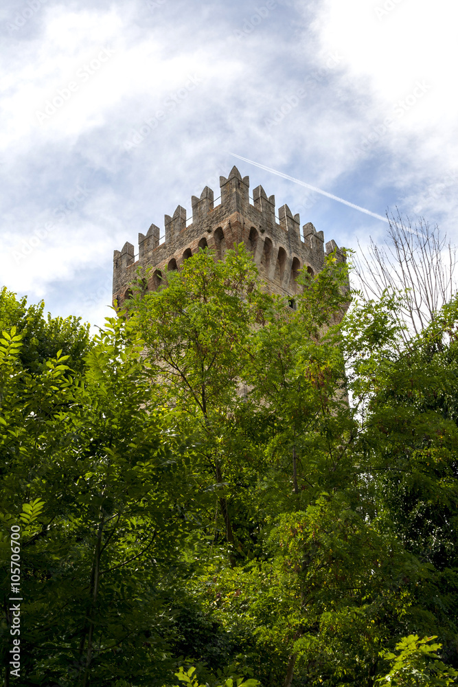 Castle's tower hidden in the woods