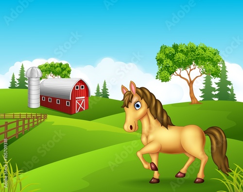 Cartoon horse in the farm