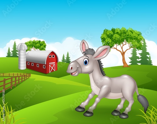 Cartoon funny donkey in the farm