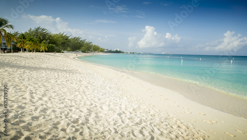 Seven Miles Bean on Grand Cayman island