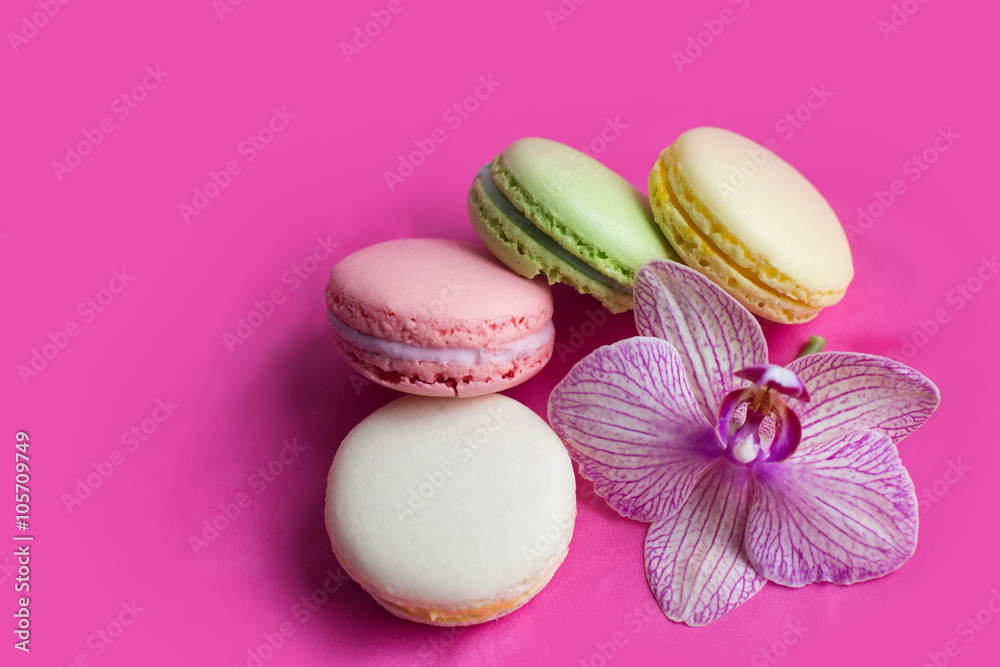 Obraz premium French macaroon